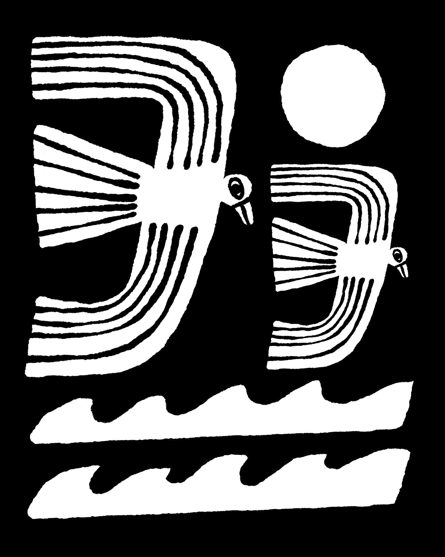 Black And White Seagulls - Marcello Velho
