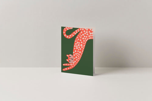 Cat Stretch - Marcello Velho