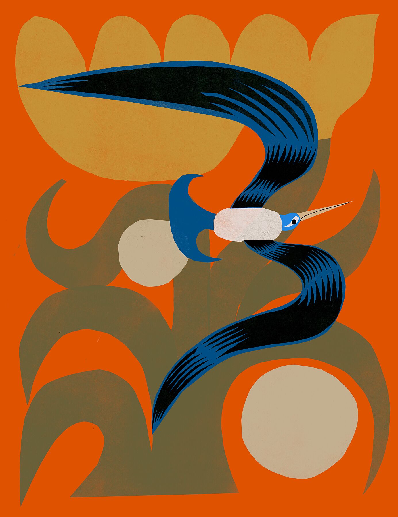 Hummingbird - Marcello Velho