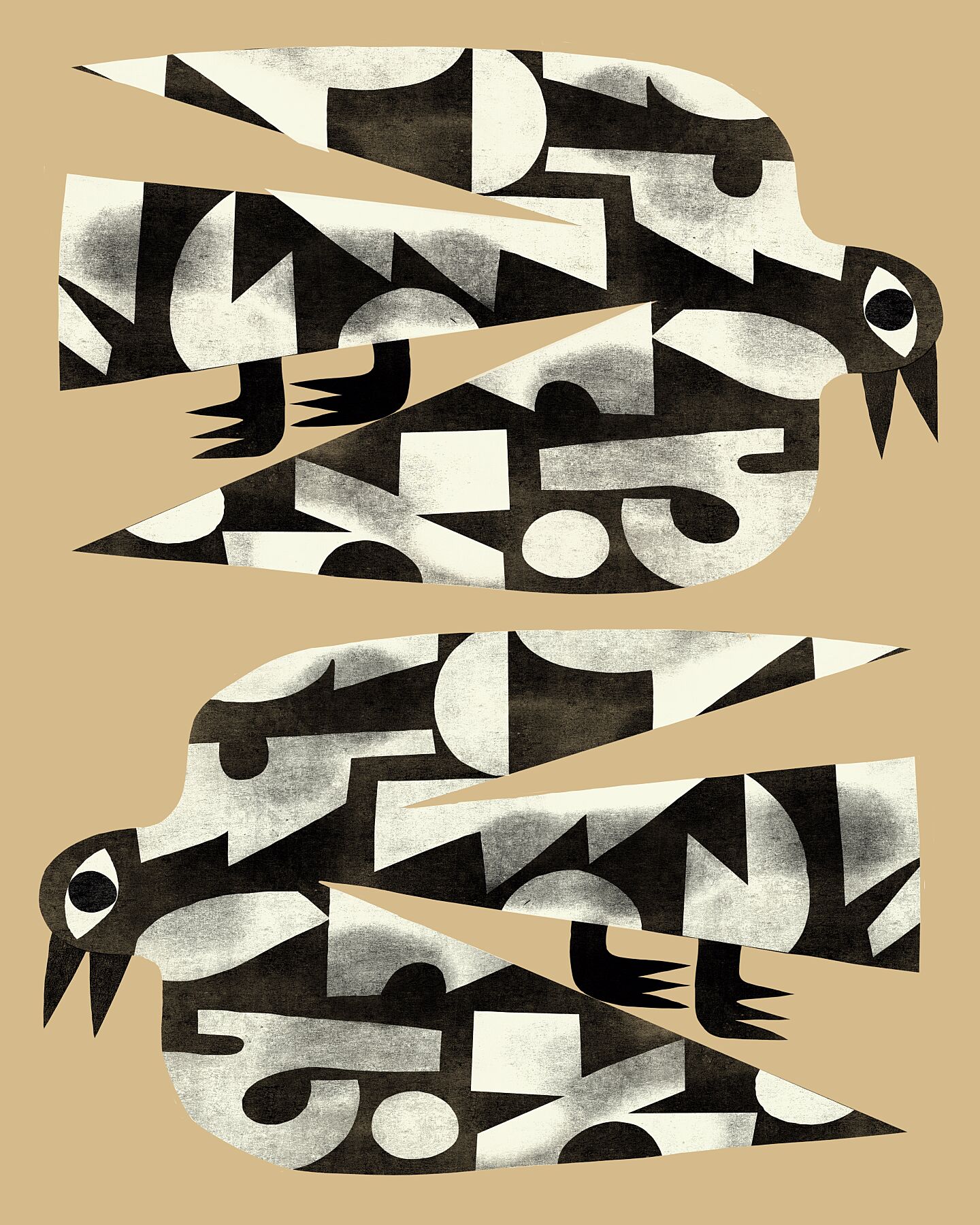 Terra Birds - Marcello Velho