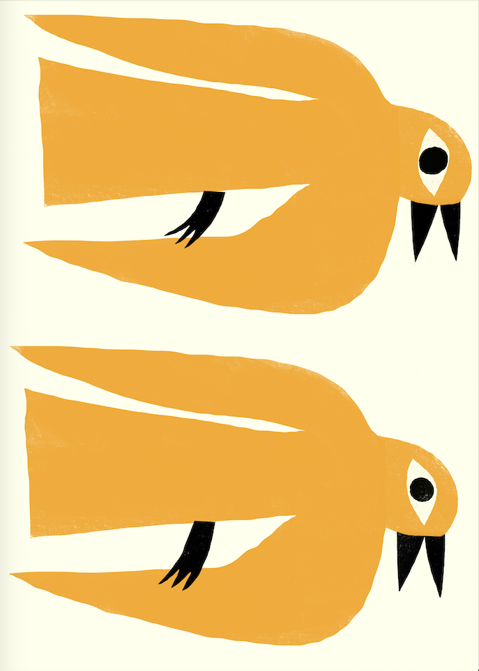 Bird Pose 7