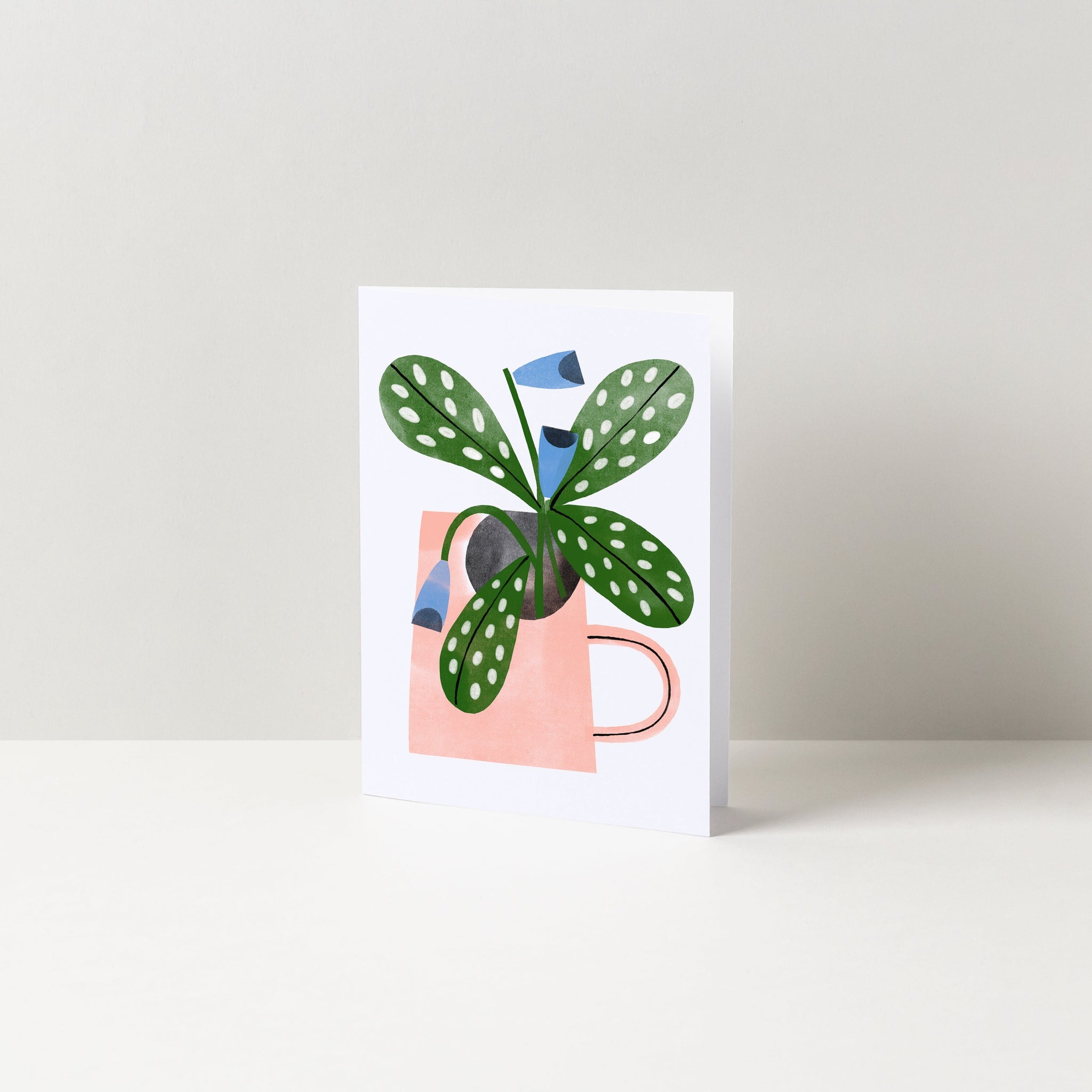 House Plant 1 Greetings Card